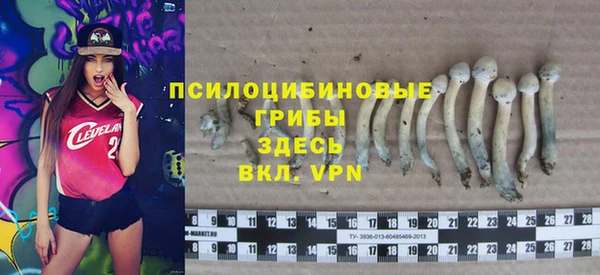каннабис Арсеньев
