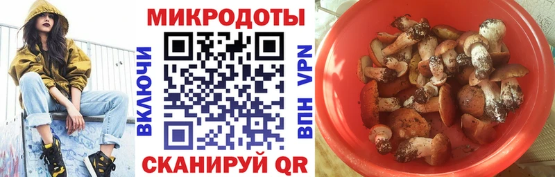 Купить закладки  Холмск  Псилоцибиновые грибы MAGIC MUSHROOMS 